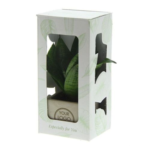 Plante i betonpotte - Billede 3